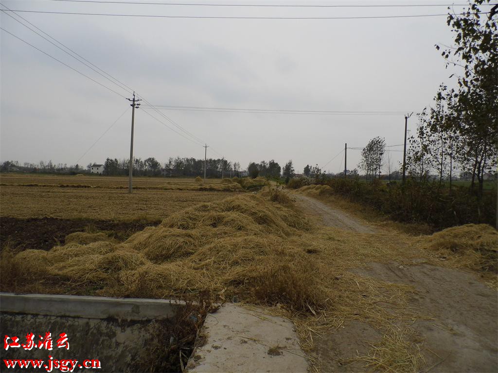 灌云农村你看看风景怎么样噢