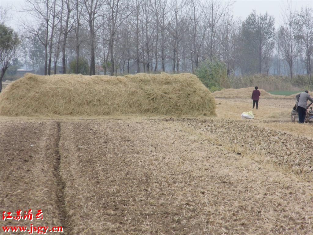 灌云农村你看看风景怎么样噢